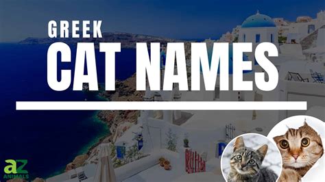 Greek Cat Names: 600+ Catchy and Cool Names