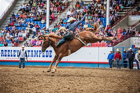 Greeley stampede. The 102nd annual Greeley Stampede will open Wednesday, June 26, and run through Sunday, July 7. This extends the Greeley Stampede past its … 