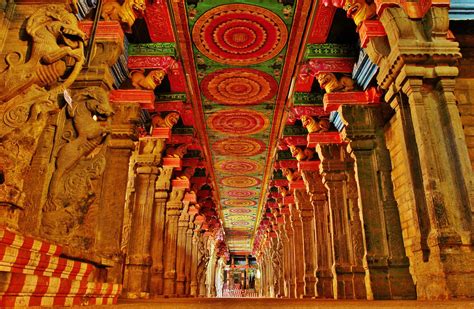 Green Bennet Photo Madurai