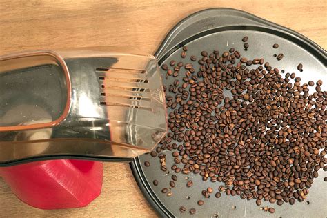 Green Coffee Beans for Home Roasting - Espresso Planet Canada