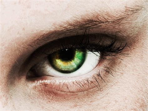 Green Eyed Jealousy – Meaning, Origin and Usage