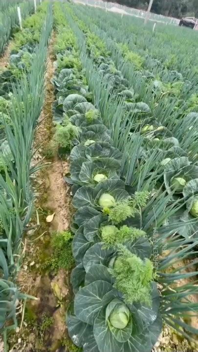 Green Farm Forum on LinkedIn korea