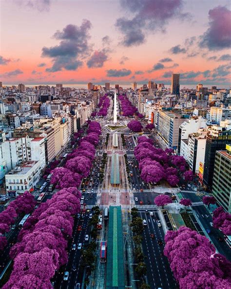 Green Flores Photo Buenos Aires