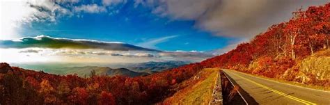 Green Fondo Virginia - Blue Ridge