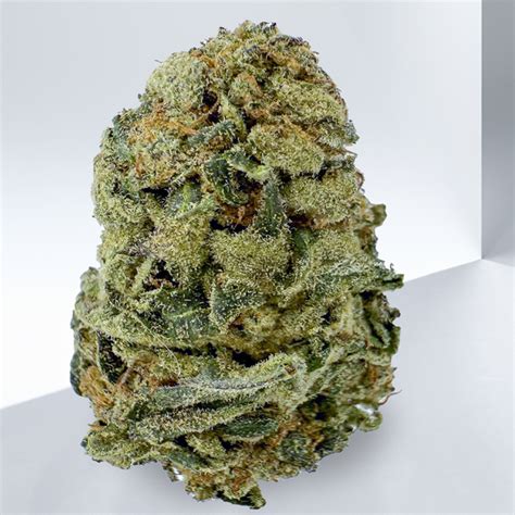 Green Gelato Onlyfans Leak (SEX) 🍆