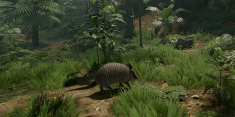 Green Hell: How to Get Armadillo Shells & What They