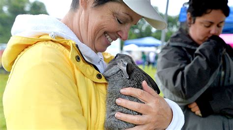 Green Hill Farm to host FarmFest - heraldmailmedia.com