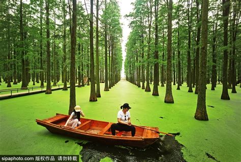 Green James  Taizhou