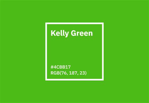 Green Kelly  Dingxi
