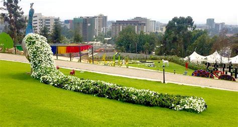 Green Kim Photo Addis Ababa