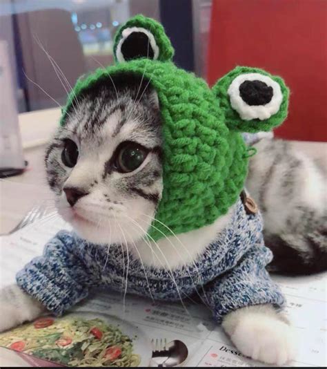 Green Knit Cat Hat - Etsy