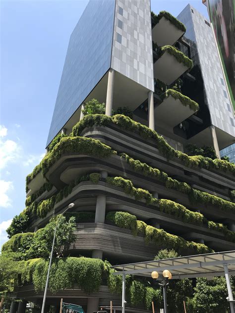 Green Long Video Singapore