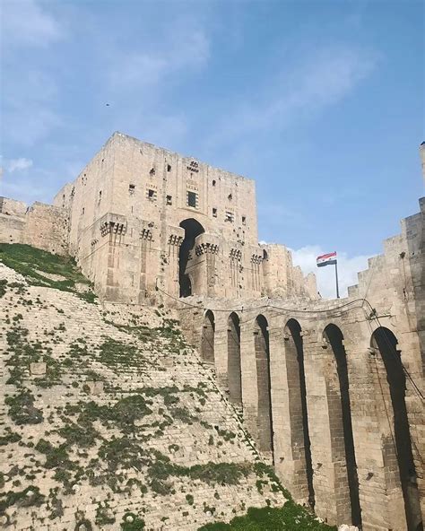 Green Moore Instagram Aleppo