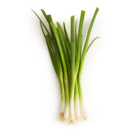 Green Onion Price