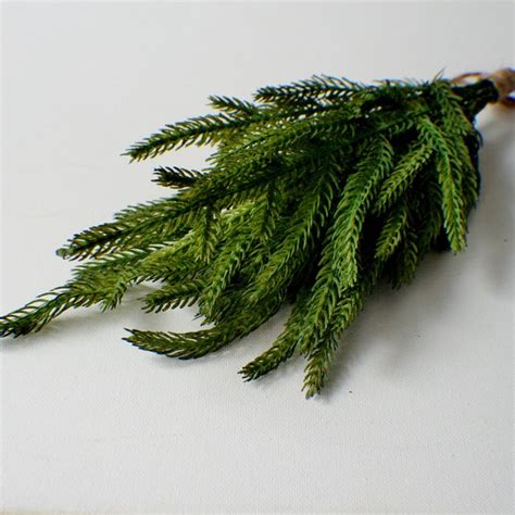 Green Pine Pick - Etsy