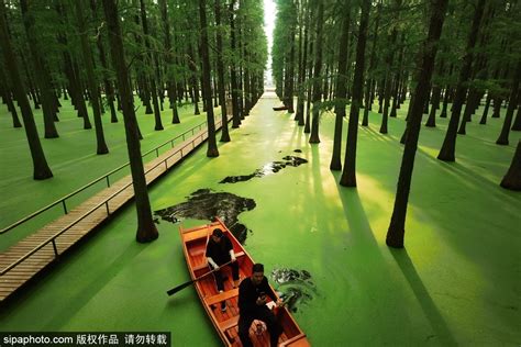Green Ramirez Photo Yangzhou