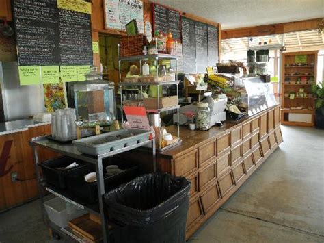 Green Salmon Coffee Co., 220 Highway 101 North, Yachats, OR - Groupon