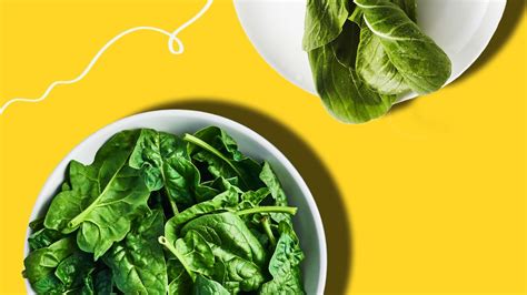 Green Vegetables: A Visual Guide to Leafy Greens - Greatist