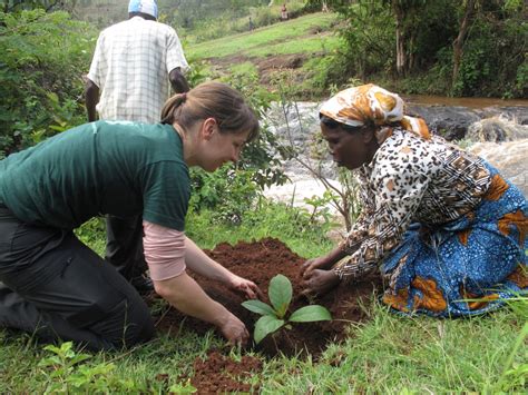 The Green Belt Movement, a programme initiated by Professor Wangari Maathai and the National Council of Women of Kenya (NCWK), performs a double duty in organising the planting of trees. It both reduces the effects of deforestation and provides a forum for women to be creative and effective leaders. Working with Green Belt gives women the ...