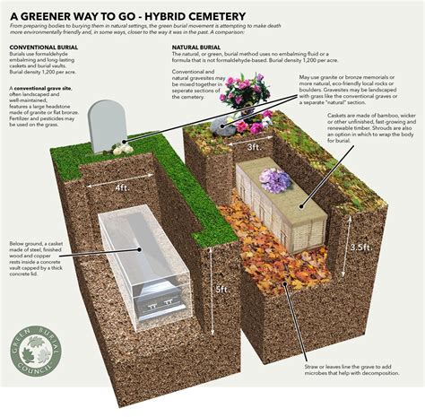 Green burials near me. .  <a href=https://admin.plana.vision/assets/images/veiiv/i...