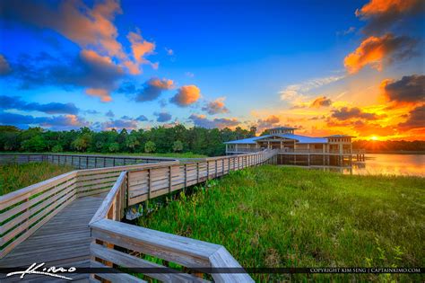Green cay nature center. In nature, emergent marsh areas represent transitional zones between dry land and water. The diverse combination of emergent marsh plants serve as important habitat for many wetland bird species and increases the amount of nutrients removed from the water. The plants, insects, and fish found in the shallow water of this zone … 