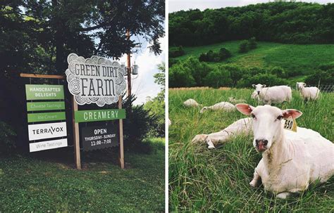 Green dirt farm. Green Dirt Farm is our furthest-flung maker and one of our newer cheesemaker partners, finally fulfilling a long awaited gap in our offerings- pasteurized sheep’s milk cheeses! Sarah Hoffmann’s team, including her herd-managing daughter Eliza, makes exceptional sheep’s milk cheeses of all styles and sizes, which is somewhat of a rarity in ... 