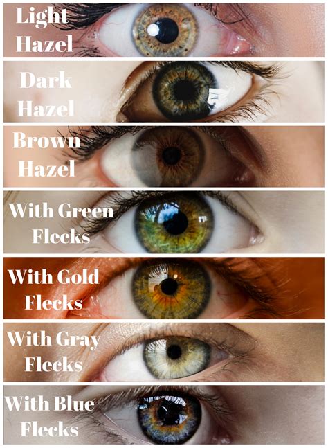 Green eyes vs hazel eyes. As of February 2015, popular estimate is that between five and eight percent of the population has hazel eyes. This makes hazel eyes the third most common eye color after brown and... 