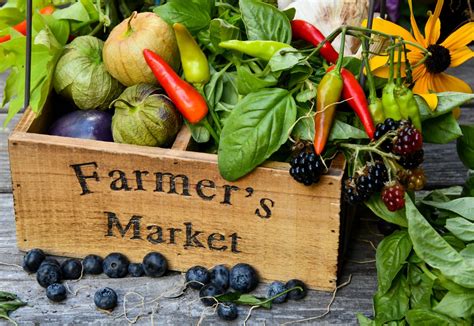 Green farm market. Ochs Farm Market, Drums, Pennsylvania. 8,324 likes · 1,556 talking about this · 648 were here. Fifth & Sixth Generation Farm. Fresh fruit and veggies. Bulk foods. Hanging baskets. Cage-free f 