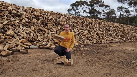 Green firewood melbourne. .  <a href=https://tmr-report.novatrack-webservices.n...