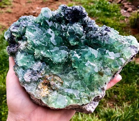 Green flourite. This specimen has two very clear, damage-free Fluorite cubododecahedrons, sitting atop a steel-gray quartz matrix. This also marks my 100th photo uploaded to Mindat! Blue/green crystal perched on quartz under natural light Habit is ... 