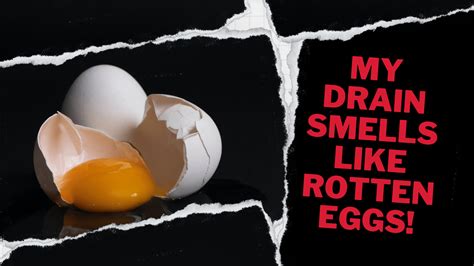 The smell of rotten eggs often associated with diesel fuel or exhaust is usually a result of sulfur compounds present in the fuel. Here are the primary causes why diesel might smell like rotten eggs: Sulfur Content in Diesel Fuel: Diesel fuel, derived from crude oil, naturally contains sulfur. When sulfur is burned during combustion, it forms .... 