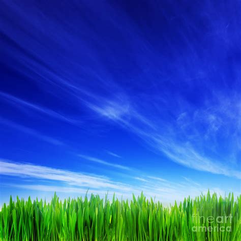 Green green grass blue blue sky. Things To Know About Green green grass blue blue sky. 