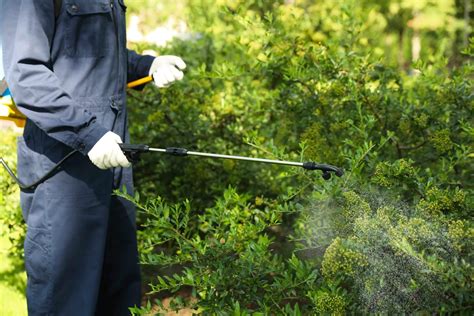 Green pest solutions. If it’s a pest in Berks County that you need removed, chances are we have the tools and expertise to provide it. Our rates are affordable, and as a local pest provider it’s easy for us to come to your home and provide you with the quarterly pest control you need. Contact us today at 877-636-9469, and get started with your pest removal … 
