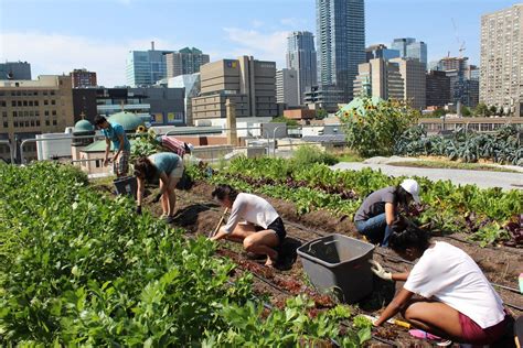 Green roof urban farming for buildings in high-density …