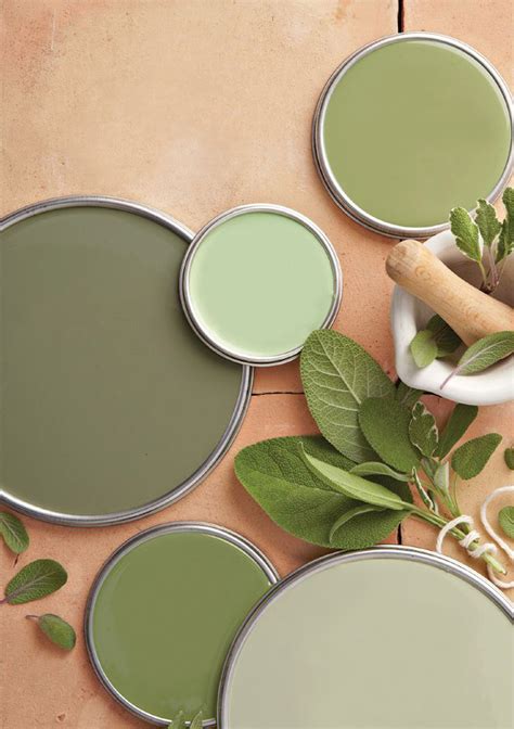 Green sage. Explore the extensive range of Duluxs Green Colour Swatches, and test your favourite colours in your home with A4 Colour swatches and sample pots. Skip to main content; Skip to footer; Input ... Pale Sage S22C3. Moorland S20A3. Pale Tendril S18A1. Silent Sage S26C5. Green Turquoise S28C5. New Hope S20G1. Spring Burst S23E1. Marsh Fog … 