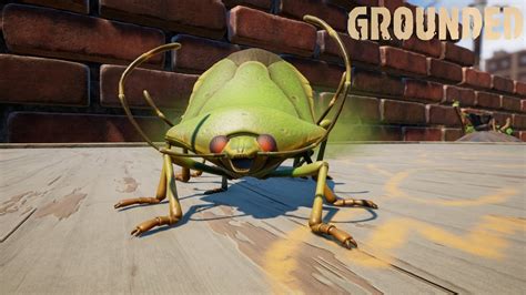 Green shield bug grounded.  Available on Xbox, the Microsoft Store, and ...