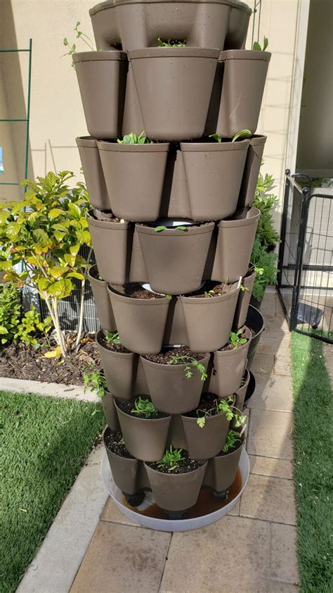 Green stalk planters. Climbing peas may grow as tall as 6 to 8 ft., which needs sturdy support. Snap peas, snow peas, and shelling peas are the best varieties you should try growing in your vertical vegetable garden. 4. Summer Squash. If space is limited in your garden, consider growing summer squash upward instead of sideways. 