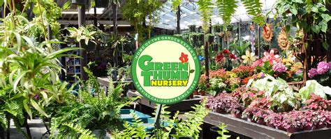 Green thumb nursery sherman way canoga park. Green Thumb Grown; Keep in Touch. Contact Us; Newsletter Signup (Free Coupons) Follow Us On Social Media; Preview Some Product Categories. Outdoor Plants; Indoor Plants; Planting + Planters; Outdoor Patio Furniture; House + Home; Garden Art; Meet Our Garden Experts. Canoga Park Garden Experts; Lake Forest Garden Experts; … 
