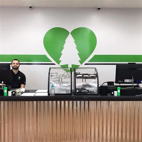 See more reviews for this business. Best Cannabis Dispensaries in Montgomery, MI 49255 - Consume Cannabis - Quincy, Highwire Farms, 3Fifteen Cannabis - Camden, The Tree House, Green Tree Relief, Dispo - Camden, Mint Cannabis - Coldwater, The Nest Provisioning Center, Lume Cannabis, Nirvana Center - Coldwater.. 