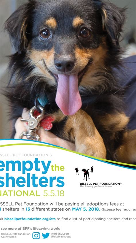 Adopt a pet from Greenbrier County Humane Society. Check out our available pets before visiting us in lewisburg, West Virginia. Our friendly staff can help your family choose the perfect pet! ... To adopt one of our animals, just come down to the Greenbrier County Animal Shelter. You will need to fill out some paper work and pay for your new .... 