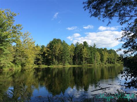 Greene-Sullivan State Forest, IN - Indiana …