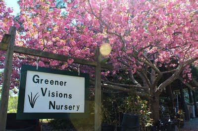 Greener Visions Nursery in Chapel Hill, NC 27516 - (919) 942-6957