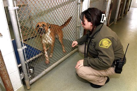 Greenfield Town Of, Animal Control Officer Dog Officer