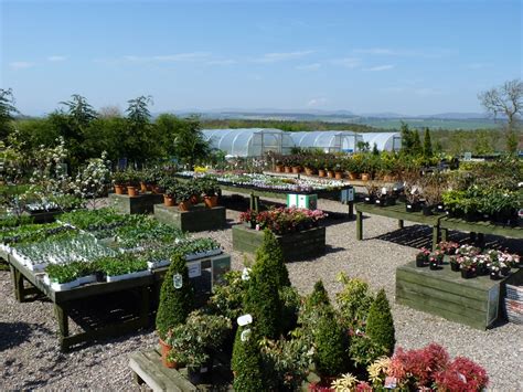 Greenhill Nursery In Perth - Garden Centres The Independent