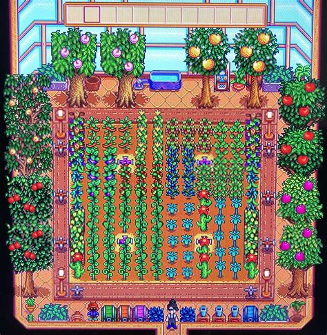 Learn how to unlock the Greenhouse in Stardew Valley and what crops to grow in it. See the best layout for the Greenhouse with sprinklers, trellis crops, and fruit trees.