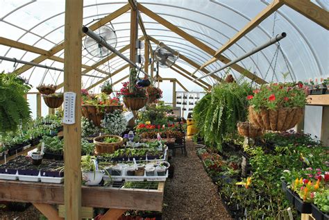 Greenhouse nurseries near me. Best Nurseries & Gardening in Las Cruces, NM - Guzman's Greenhouse, Color Your World, Gonzales landscaping, Natura Greenhouse, Doctor Green Hydroponics, Green Fox Landscape Supply, Rowland Nurseries, Pena's Pecan Nursery, Quality Firewood & Materials, Quattro Materials Center 