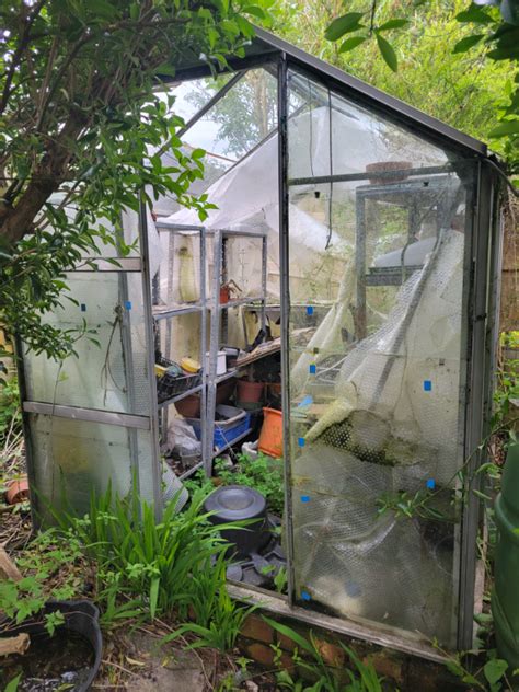 Greenhouse-glass in Cheshire Stuff for Sale - Gumtree