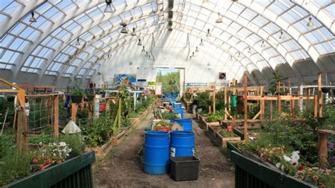 Greenhouses aim to bring fresh produce to North, putting a dent in food insecurity