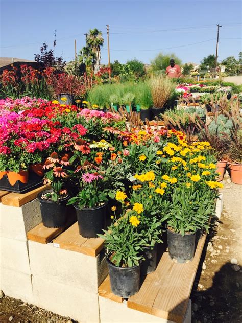 Greenland Nursery - Brea, CA - Yelp