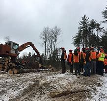 Greenleaf Forestry VT - Posts Facebook